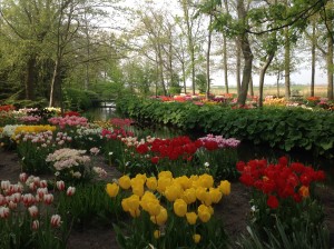 Kleine keukenhof 1